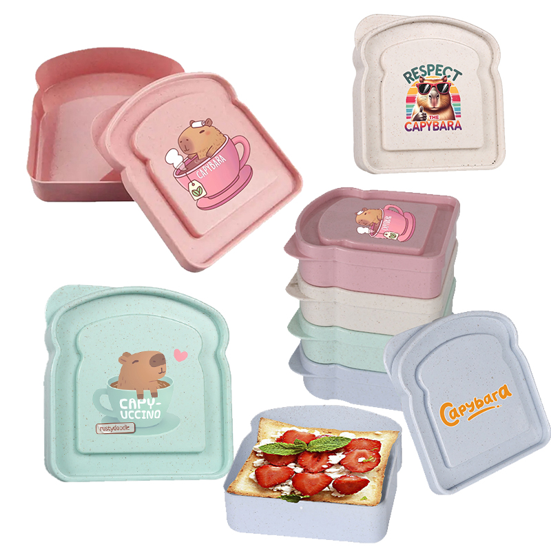 Food Snacks Box - กล่องเก็บอาหารลายคาปิบารา สำหรับใส่แซนวิช สลัด ผลไม้ ขนม กล่องอาหารกลางวันแบบมีฝาปิด